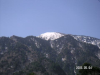 s_pict0218_thumb.png